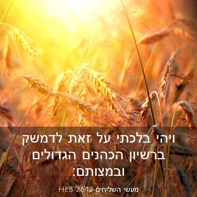 Picture 03 - מעשי השליחים 26:12 HEB - ויהי בלכתי על זאת לדמשק - Bible Verse Picture