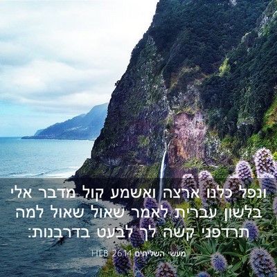 Picture 03 - מעשי השליחים 26:14 HEB - ונפל כלנו ארצה ואשמע קול - Bible Verse Picture