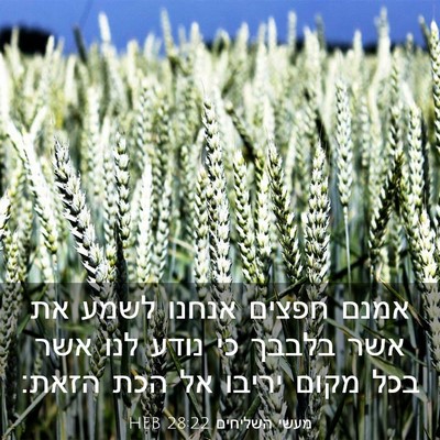 Picture 03 - מעשי השליחים 28:22 HEB - אמנם חפצים אנחנו לשמע את - Bible Verse Picture