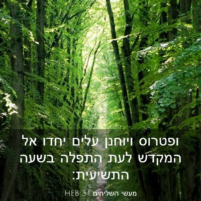 Picture 03 - מעשי השליחים 3:1 HEB - ופטרוס ויוחנן עלים יחדו אל - Bible Verse Picture