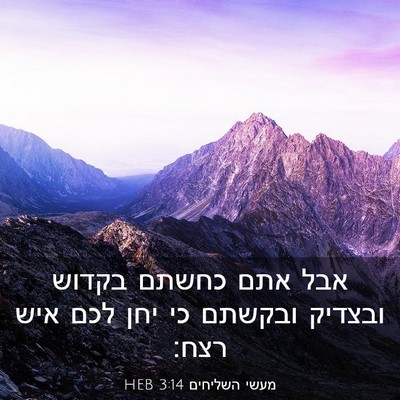Picture 03 - מעשי השליחים 3:14 HEB - אבל אתם כחשתם בקדוש ובצדיק - Bible Verse Picture