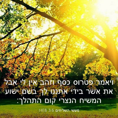 Picture 03 - מעשי השליחים 3:6 HEB - ויאמר פטרוס כסף וזהב אין לי - Bible Verse Picture