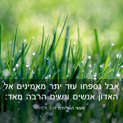 Picture 03 - מעשי השליחים 5:14 HEB - אבל נספחו עוד יתר מאמינים - Bible Verse Picture