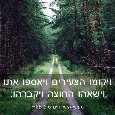 Picture 03 - מעשי השליחים 5:6 HEB - ויקומו הצעירים ויאספו אתו - Bible Verse Picture