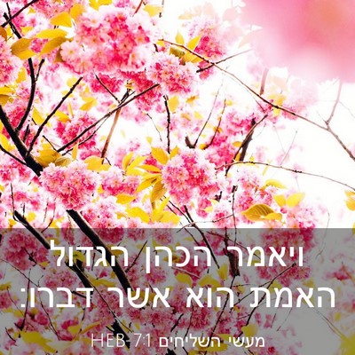 Picture 03 - מעשי השליחים 7:1 HEB - ויאמר הכהן הגדול האמת הוא - Bible Verse Picture