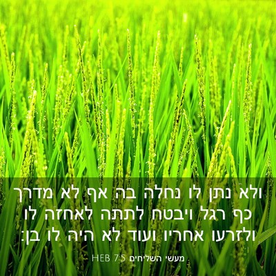 Picture 03 - מעשי השליחים 7:5 HEB - ולא נתן לו נחלה בה אף לא - Bible Verse Picture