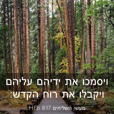 Picture 03 - מעשי השליחים 8:17 HEB - ויסמכו את ידיהם עליהם - Bible Verse Picture