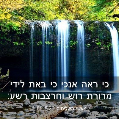 Picture 03 - מעשי השליחים 8:23 HEB - כי ראה אנכי כי באת לידי - Bible Verse Picture