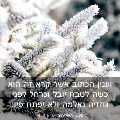 Picture 03 - מעשי השליחים 8:32 HEB - וענין הכתוב אשר קרא זה הוא - Bible Verse Picture