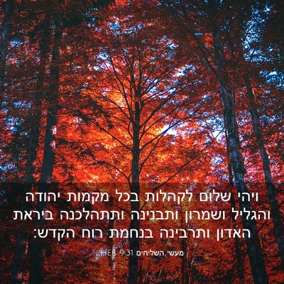 Picture 03 - מעשי השליחים 9:31 HEB - ויהי שלום לקהלות בכל מקמות - Bible Verse Picture