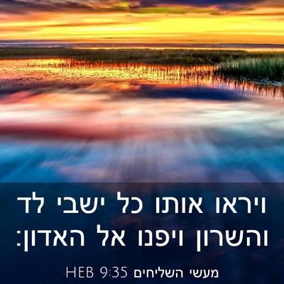 Picture 03 - מעשי השליחים 9:35 HEB - ויראו אותו כל ישבי לד - Bible Verse Picture