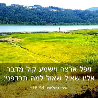 Picture 03 - מעשי השליחים 9:4 HEB - ויפל ארצה וישמע קול מדבר - Bible Verse Picture