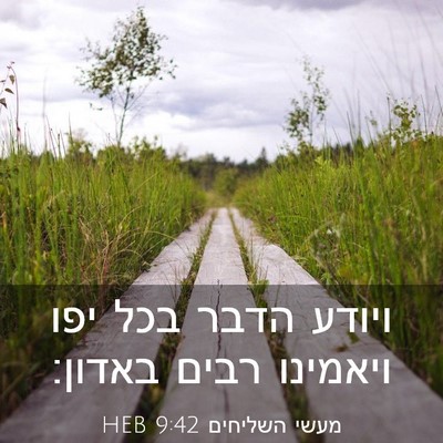 Picture 03 - מעשי השליחים 9:42 HEB - ויודע הדבר בכל יפו ויאמינו - Bible Verse Picture