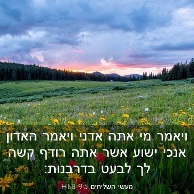 Picture 03 - מעשי השליחים 9:5 HEB - ויאמר מי אתה אדני ויאמר - Bible Verse Picture