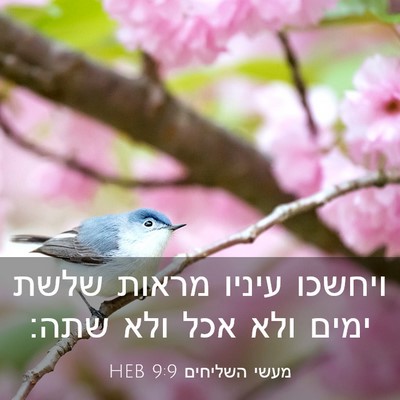 Picture 03 - מעשי השליחים 9:9 HEB - ויחשכו עיניו מראות שלשת - Bible Verse Picture