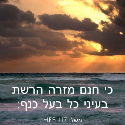 Picture 03 - משלי 1:17 HEB - כי חנם מזרה הרשת בעיני כל - Bible Verse Picture