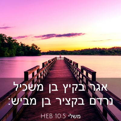 Picture 03 - משלי 10:5 HEB - אגר בקיץ בן משכיל נרדם - Bible Verse Picture