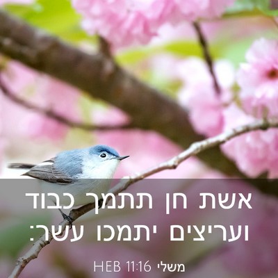 Picture 03 - משלי 11:16 HEB - אשת חן תתמך כבוד ועריצים - Bible Verse Picture