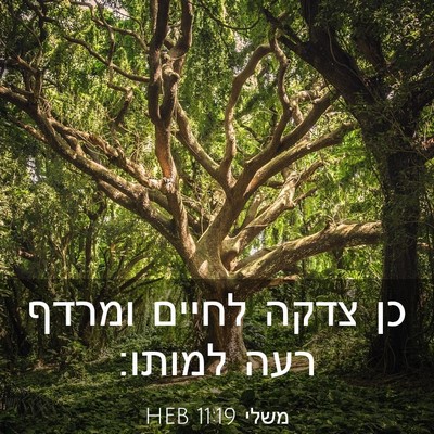 Picture 03 - משלי 11:19 HEB - כן צדקה לחיים ומרדף רעה - Bible Verse Picture