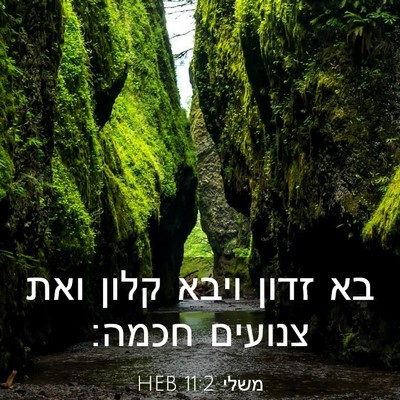 Picture 03 - משלי 11:2 HEB - בא זדון ויבא קלון ואת - Bible Verse Picture