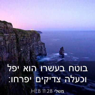 Picture 03 - משלי 11:28 HEB - בוטח בעשרו הוא יפל וכעלה - Bible Verse Picture