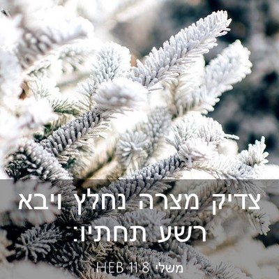 Picture 03 - משלי 11:8 HEB - צדיק מצרה נחלץ ויבא רשע - Bible Verse Picture