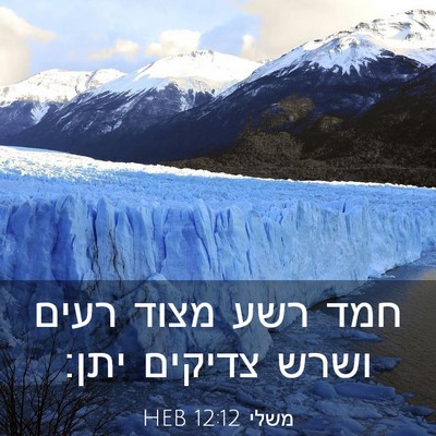 Picture 03 - משלי 12:12 HEB - חמד רשע מצוד רעים ושרש - Bible Verse Picture