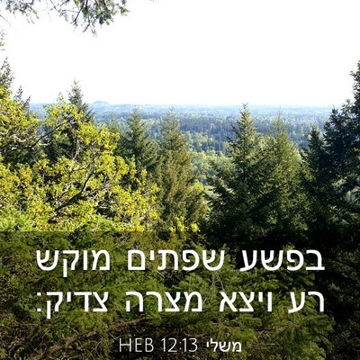 Picture 03 - משלי 12:13 HEB - בפשע שפתים מוקש רע ויצא - Bible Verse Picture
