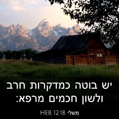 Picture 03 - משלי 12:18 HEB - יש בוטה כמדקרות חרב ולשון - Bible Verse Picture