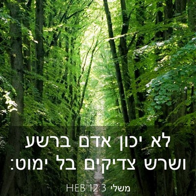 Picture 03 - משלי 12:3 HEB - לא יכון אדם ברשע ושרש - Bible Verse Picture
