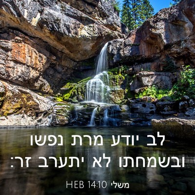 Picture 03 - משלי 14:10 HEB - לב יודע מרת נפשו ובשמחתו לא - Bible Verse Picture