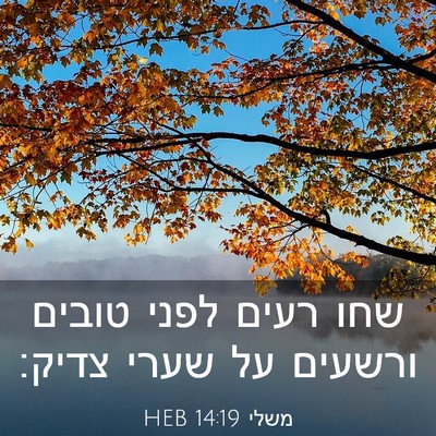 Picture 03 - משלי 14:19 HEB - שחו רעים לפני טובים ורשעים - Bible Verse Picture