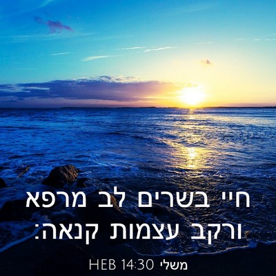 Picture 03 - משלי 14:30 HEB - חיי בשרים לב מרפא ורקב - Bible Verse Picture