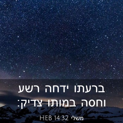 Picture 03 - משלי 14:32 HEB - ברעתו ידחה רשע וחסה במותו - Bible Verse Picture