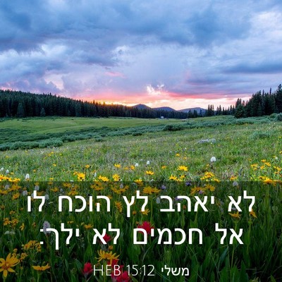 Picture 03 - משלי 15:12 HEB - לא יאהב לץ הוכח לו אל חכמים - Bible Verse Picture