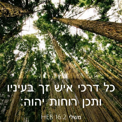 Picture 03 - משלי 16:2 HEB - כל דרכי איש זך בעיניו ותכן - Bible Verse Picture