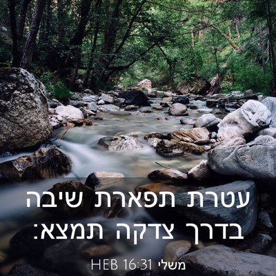 Picture 03 - משלי 16:31 HEB - עטרת תפארת שיבה בדרך צדקה - Bible Verse Picture