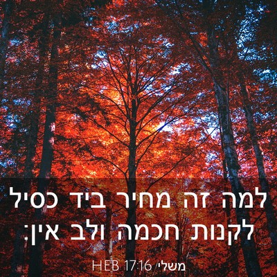 Picture 03 - משלי 17:16 HEB - למה זה מחיר ביד כסיל לקנות - Bible Verse Picture