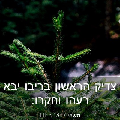 Picture 03 - משלי 18:17 HEB - צדיק הראשון בריבו יבא רעהו - Bible Verse Picture