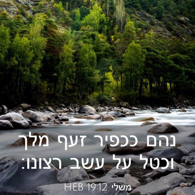 Picture 03 - משלי 19:12 HEB - נהם ככפיר זעף מלך וכטל על - Bible Verse Picture