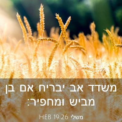 Picture 03 - משלי 19:26 HEB - משדד אב יבריח אם בן מביש - Bible Verse Picture