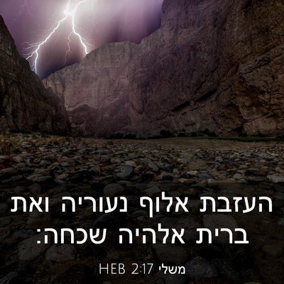 Picture 03 - משלי 2:17 HEB - העזבת אלוף נעוריה ואת ברית - Bible Verse Picture