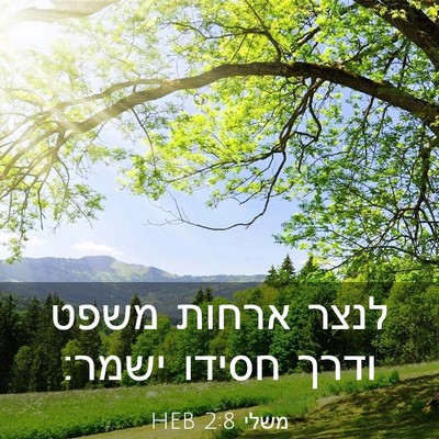Picture 03 - משלי 2:8 HEB - לנצר ארחות משפט ודרך חסידו - Bible Verse Picture