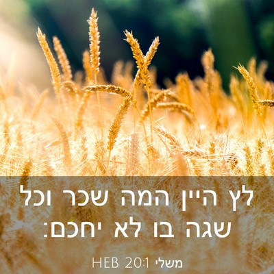 Picture 03 - משלי 20:1 HEB - לץ היין המה שכר וכל שגה בו - Bible Verse Picture