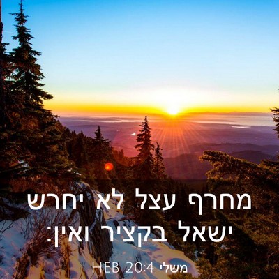 Picture 03 - משלי 20:4 HEB - מחרף עצל לא יחרש ישאל בקציר - Bible Verse Picture