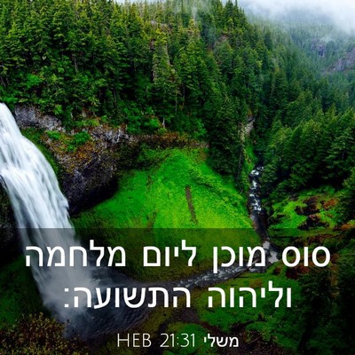 Picture 03 - משלי 21:31 HEB - סוס מוכן ליום מלחמה וליהוה - Bible Verse Picture