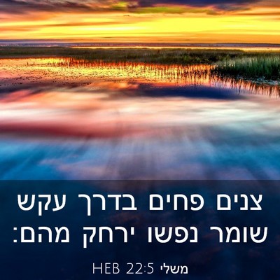 Picture 03 - משלי 22:5 HEB - צנים פחים בדרך עקש שומר - Bible Verse Picture