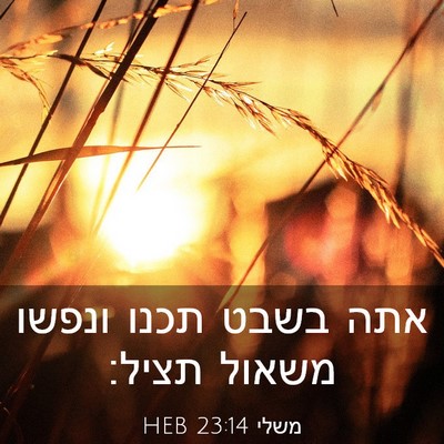 Picture 03 - משלי 23:14 HEB - אתה בשבט תכנו ונפשו משאול - Bible Verse Picture