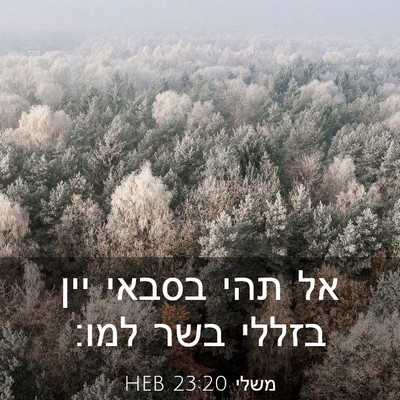 Picture 03 - משלי 23:20 HEB - אל תהי בסבאי יין בזללי בשר - Bible Verse Picture