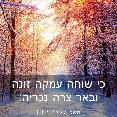 Picture 03 - משלי 23:27 HEB - כי שוחה עמקה זונה ובאר צרה - Bible Verse Picture